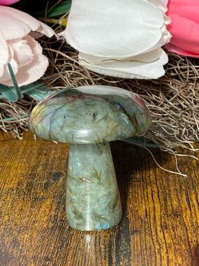 Labradorite Mushroom